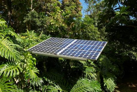 solar-panel-in-jungle-blake-webster